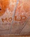 The word mold written with a finger on a moldy wood wall in Chula Vista